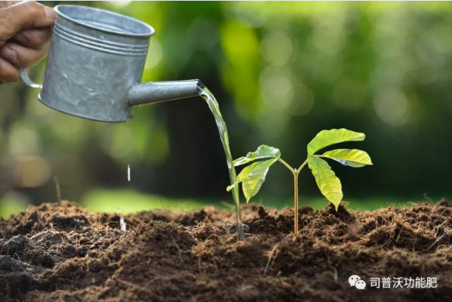 如何識(shí)別土壤酸堿性？6招讓你成為判斷高手！