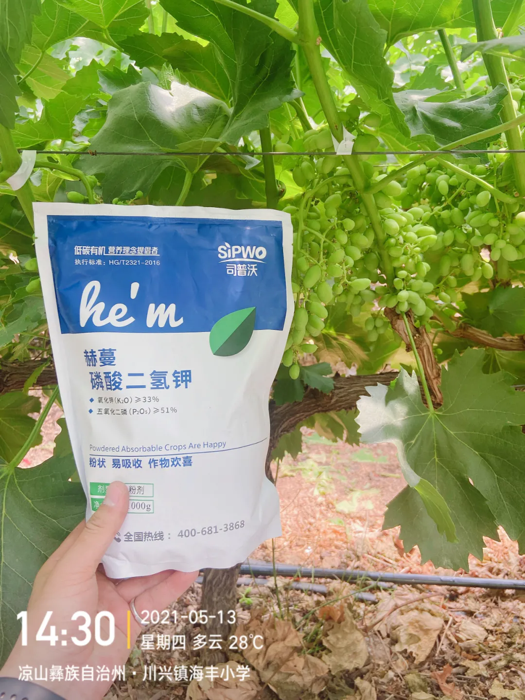 磷酸二氫鉀的辨別真假現(xiàn)場(chǎng)，99%以上是假貨！