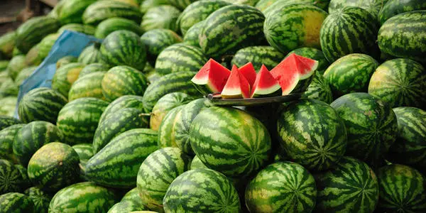 西瓜裂果怎么辦？除了水的管理還要補充這個!