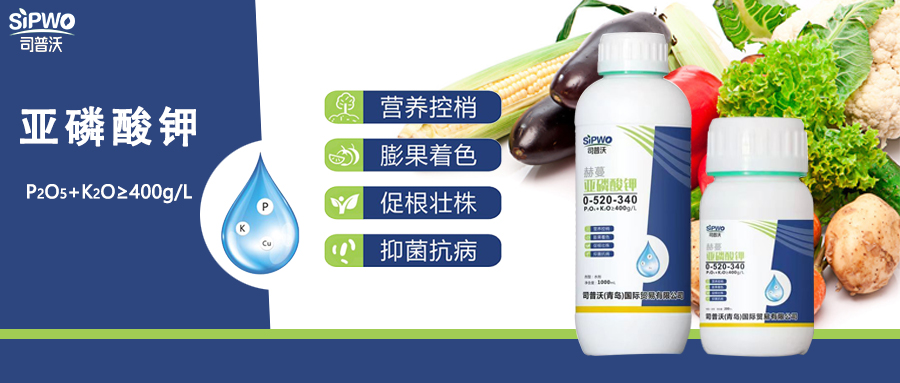 赫蔓·亞磷酸鉀|亦藥亦肥：營養(yǎng)控梢，防病抑菌用處大