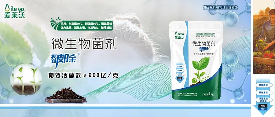 愛萊沃·微生物菌劑_破除|沃土、生根、抗病一步到位